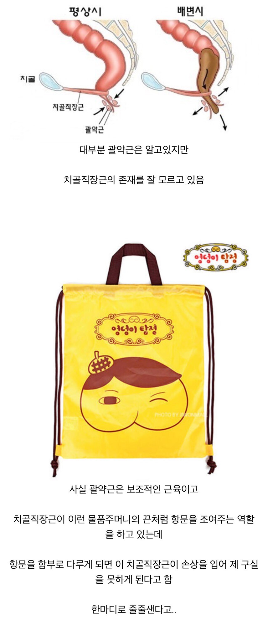 항문 관리를 소중히 해야하는 이유_1.jpg