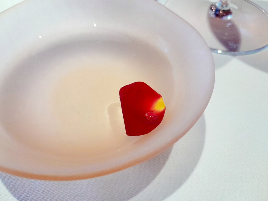 더 가기 힘들어지기전에 라망시크레 by 손종원_5.jpg