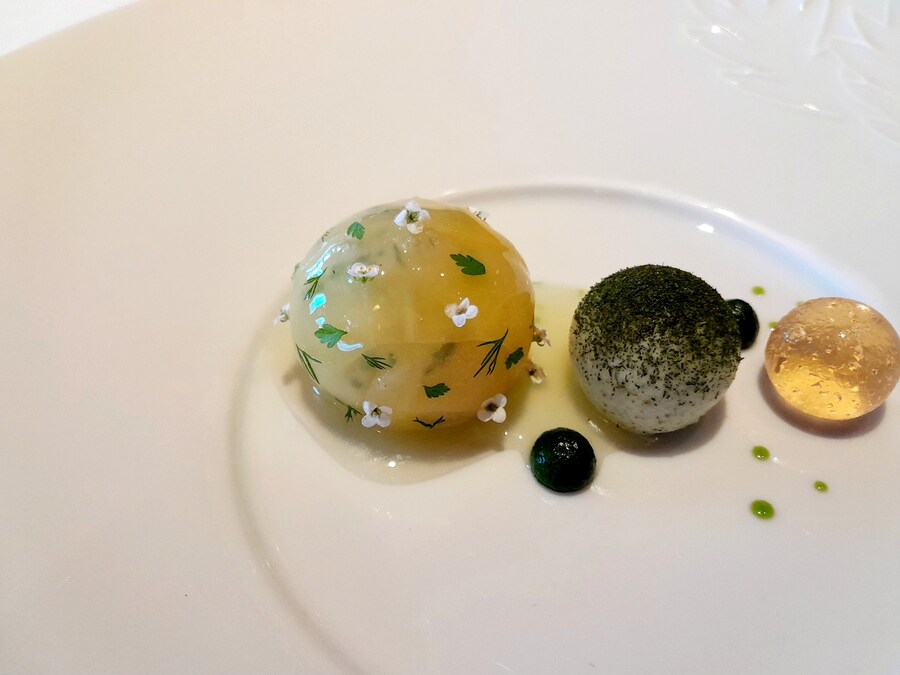 더 가기 힘들어지기전에 라망시크레 by 손종원_11.jpg