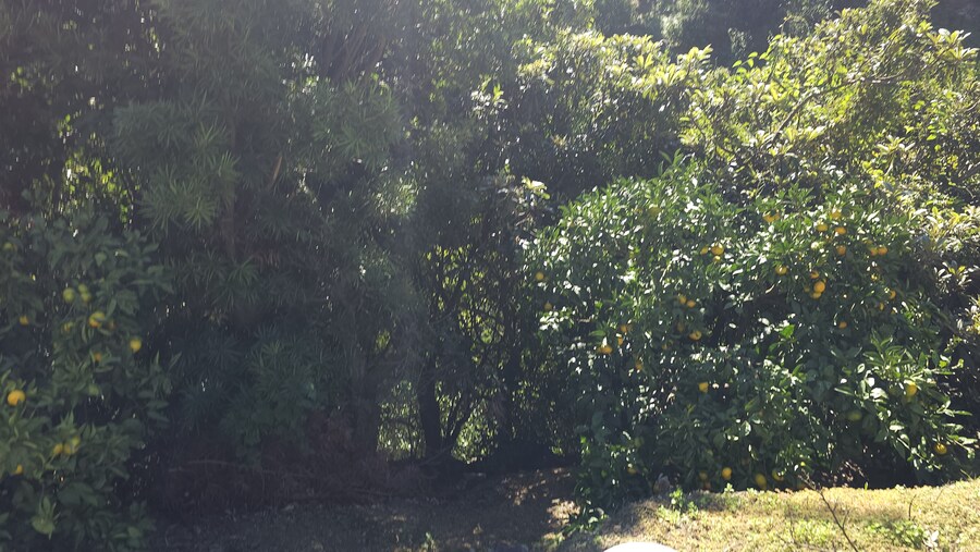 만성소화불량자의 8박9일 히로시마 여행 6,7일차 (쿠레, 미타라이)_123.jpg