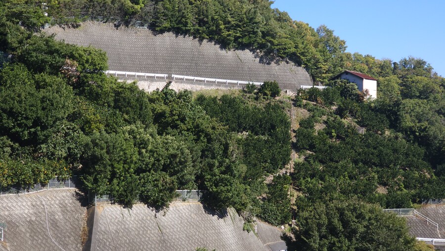 만성소화불량자의 8박9일 히로시마 여행 6,7일차 (쿠레, 미타라이)_128.jpg