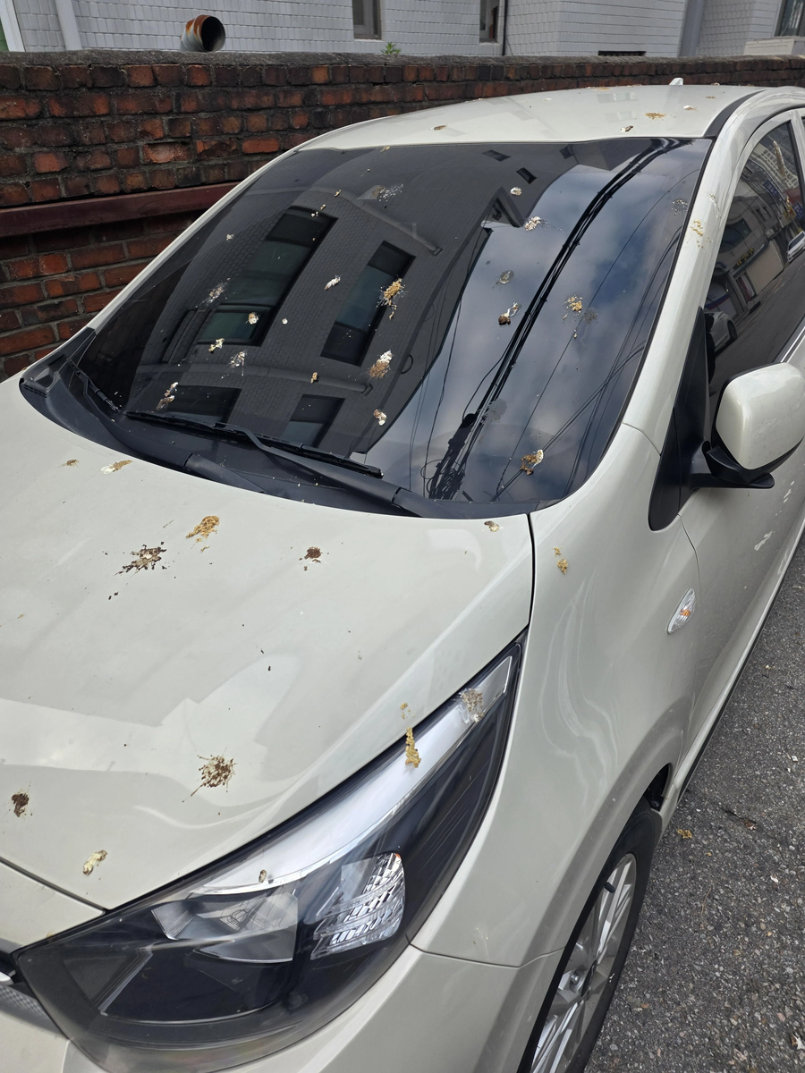 까마귀를 총으로 쏴 죽이고 싶다는 사람.JPG_4.webp