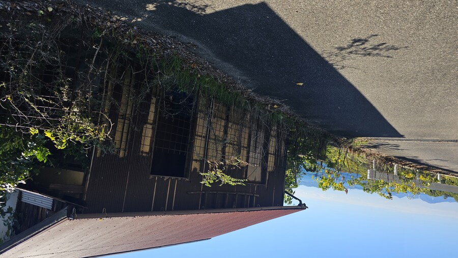 만성소화불량자의 8박9일 히로시마 여행 6,7일차 (쿠레, 미타라이)_130.jpg