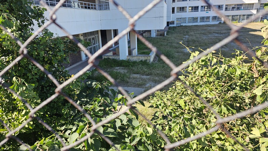 만성소화불량자의 8박9일 히로시마 여행 6,7일차 (쿠레, 미타라이)_148.jpg