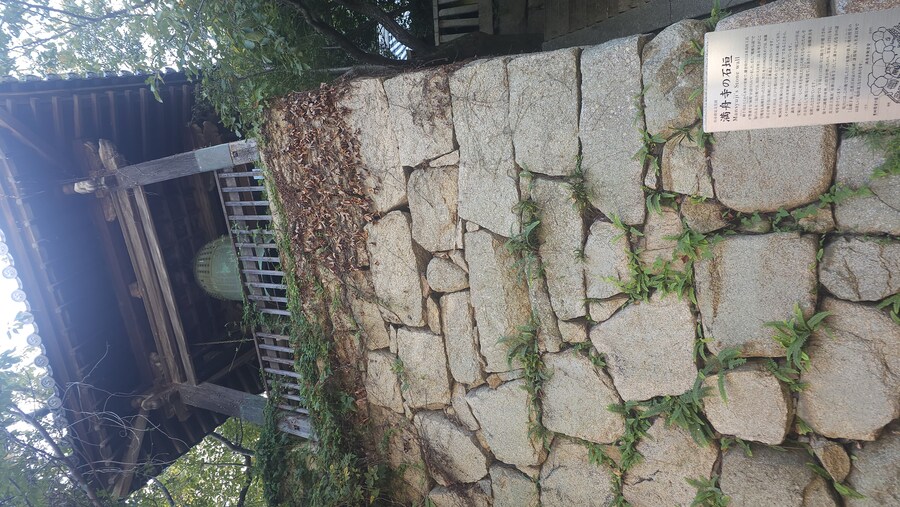 만성소화불량자의 8박9일 히로시마 여행 6,7일차 (쿠레, 미타라이)_165.jpg