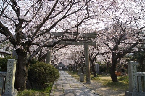 만성소화불량자의 8박9일 히로시마 여행 6,7일차 (쿠레, 미타라이)_153.jpg