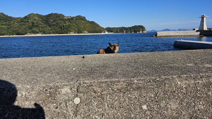 만성소화불량자의 8박9일 히로시마 여행 6,7일차 (쿠레, 미타라이)_195.jpg