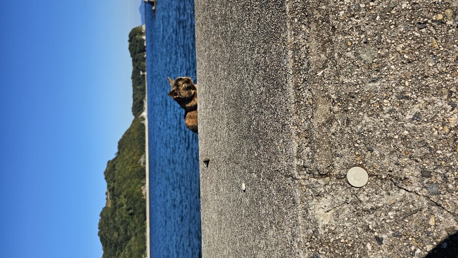 만성소화불량자의 8박9일 히로시마 여행 6,7일차 (쿠레, 미타라이)_196.jpg