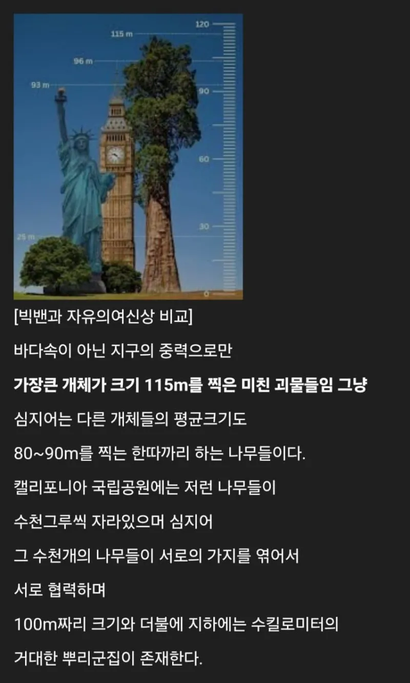 세계에 존재하는 신기한 생물들_11.webp