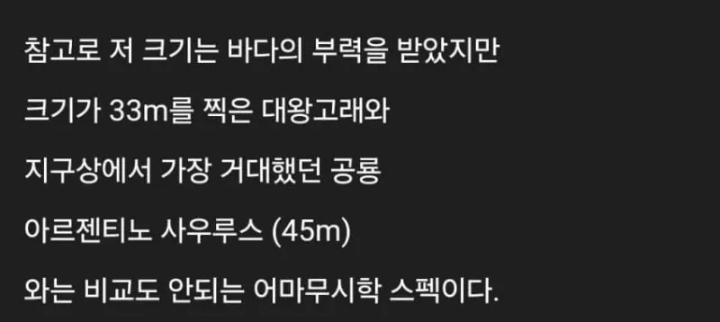 세계에 존재하는 신기한 생물들_12.webp