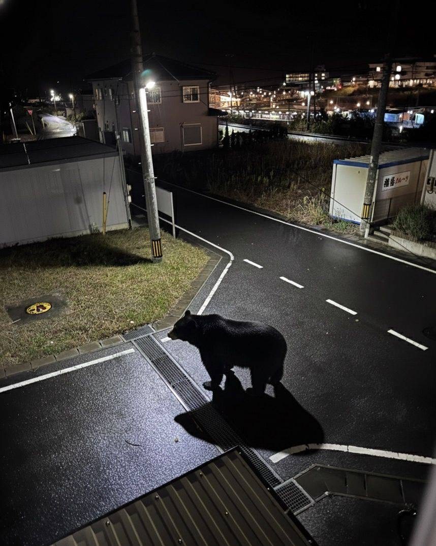 미야기현 오나가와초 근황_1.jpg