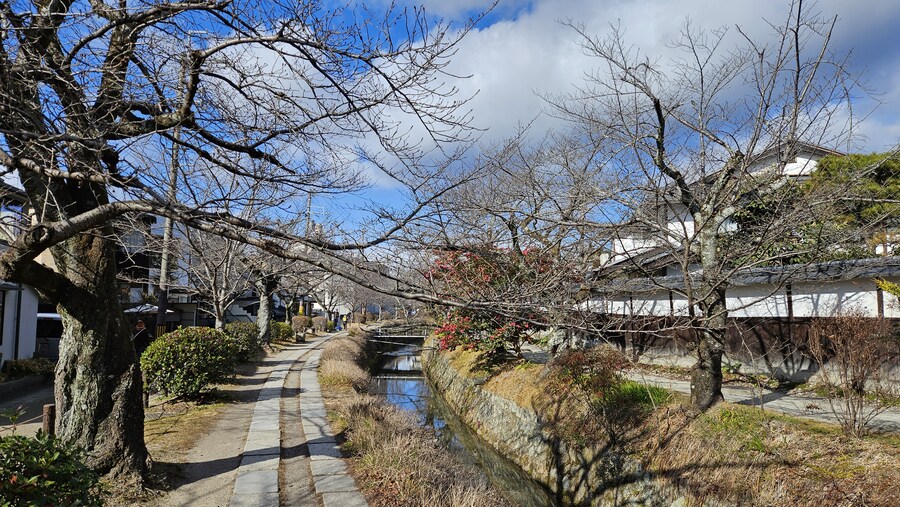 [일본] 교토 말차 디저트들_7.jpg