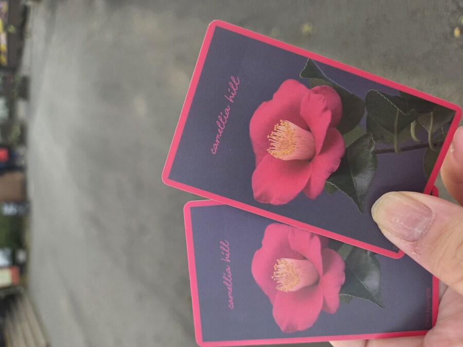 제주도 3박 4일 패키지 여행 다녀왔습니다._10.jpg