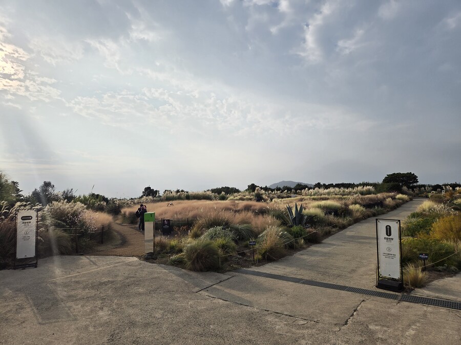 제주도 3박 4일 패키지 여행 다녀왔습니다._12.jpg