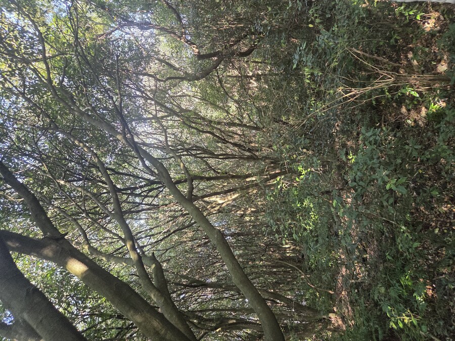 제주도 3박 4일 패키지 여행 다녀왔습니다._13.jpg