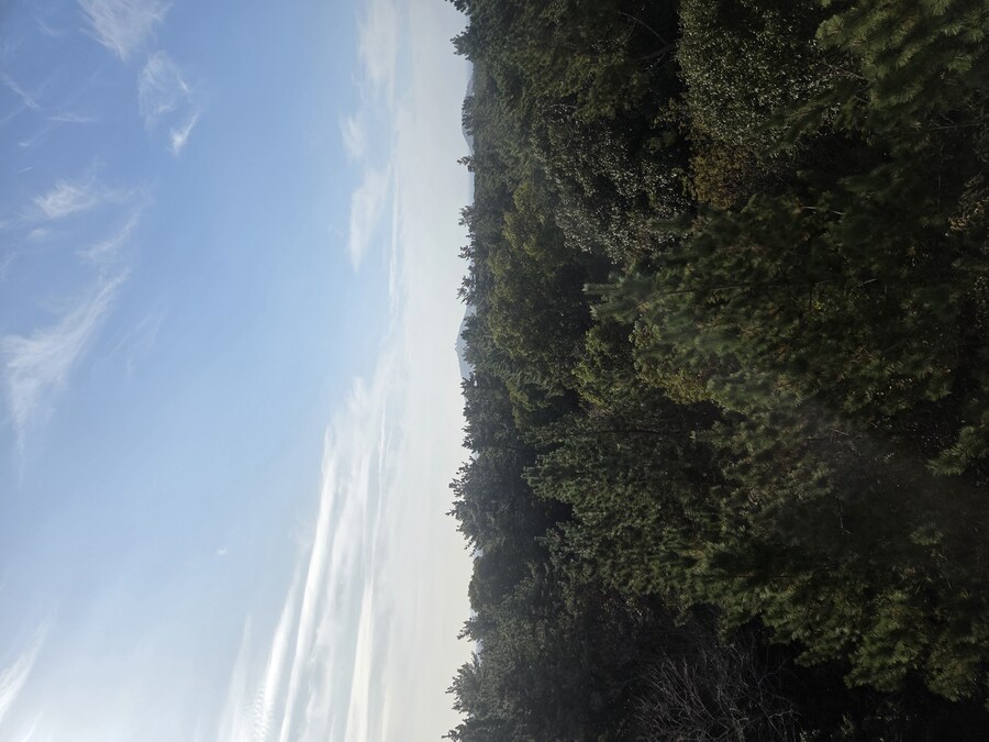 제주도 3박 4일 패키지 여행 다녀왔습니다._16.jpg