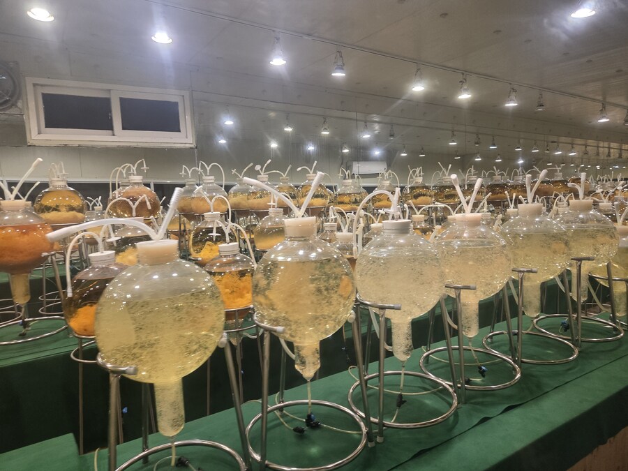 제주도 3박 4일 패키지 여행 다녀왔습니다._23.jpg