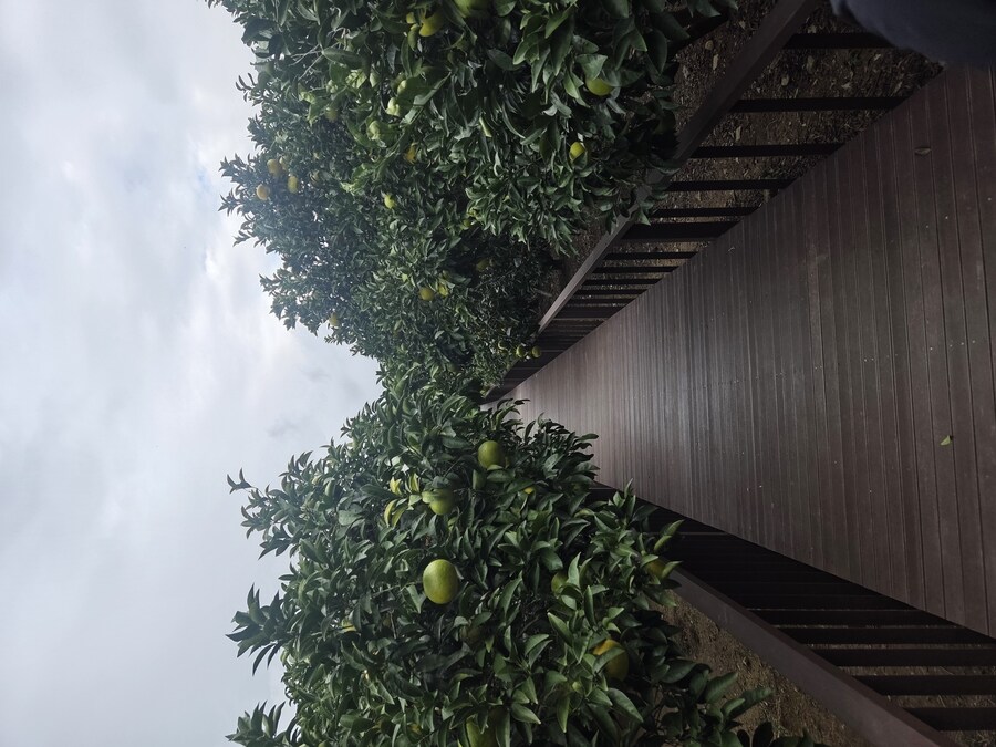 제주도 3박 4일 패키지 여행 다녀왔습니다._26.jpg