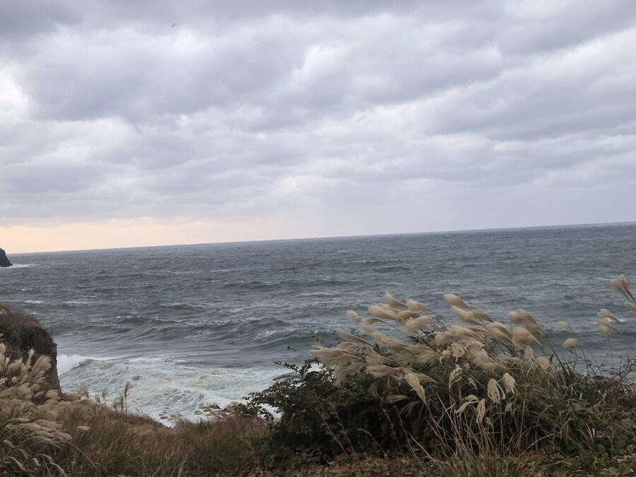 제주도 3박 4일 패키지 여행 다녀왔습니다._32.jpg