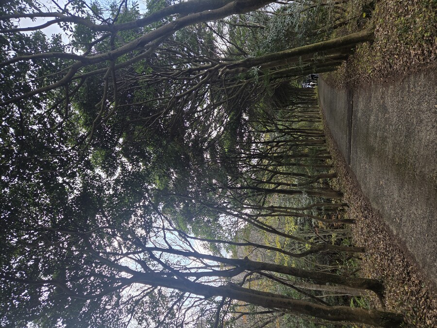 제주도 3박 4일 패키지 여행 다녀왔습니다._42.jpg