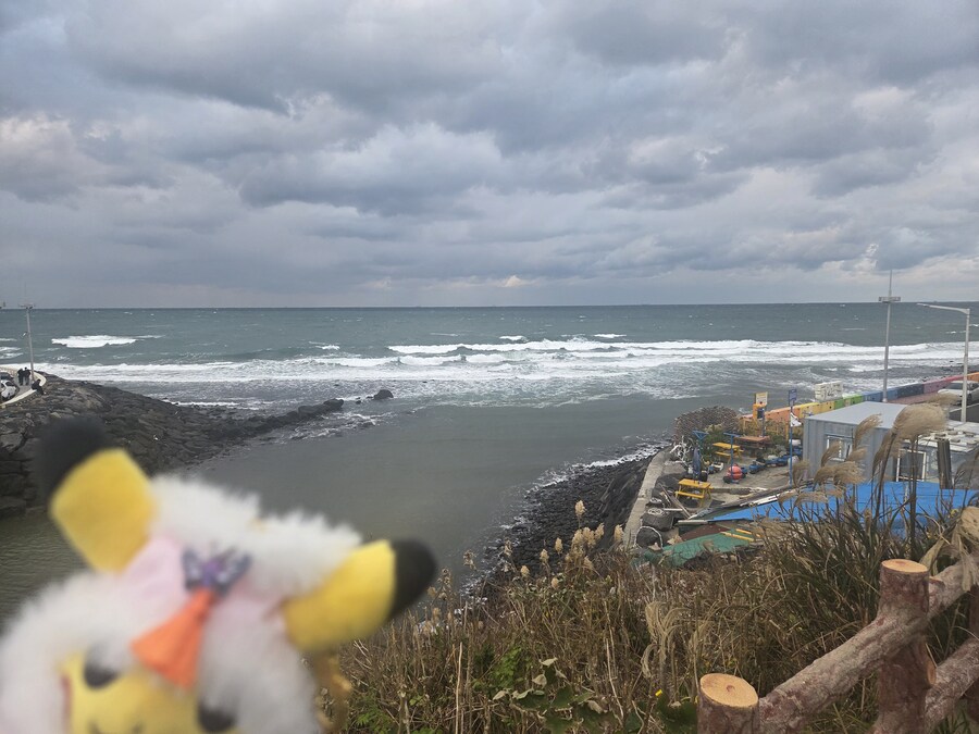 제주도 3박 4일 패키지 여행 다녀왔습니다._47.jpg