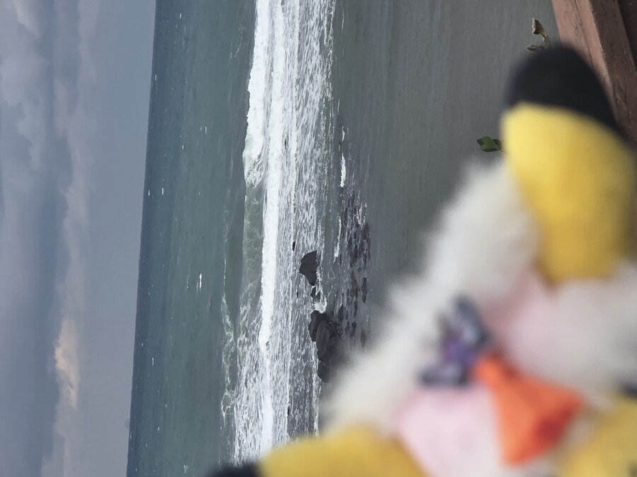 제주도 3박 4일 패키지 여행 다녀왔습니다._48.jpg