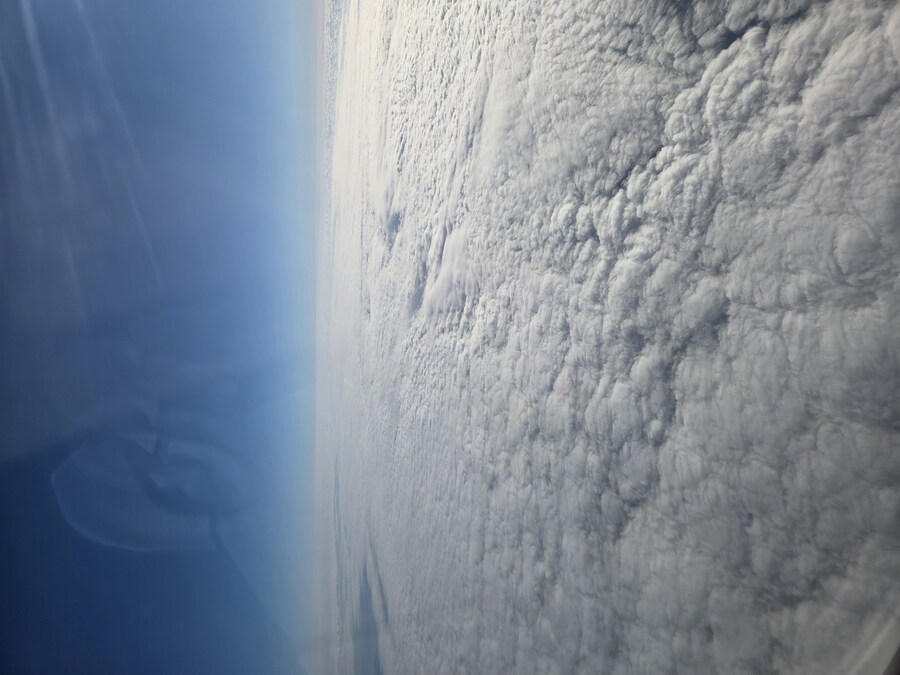 제주도 3박 4일 패키지 여행 다녀왔습니다._67.jpg