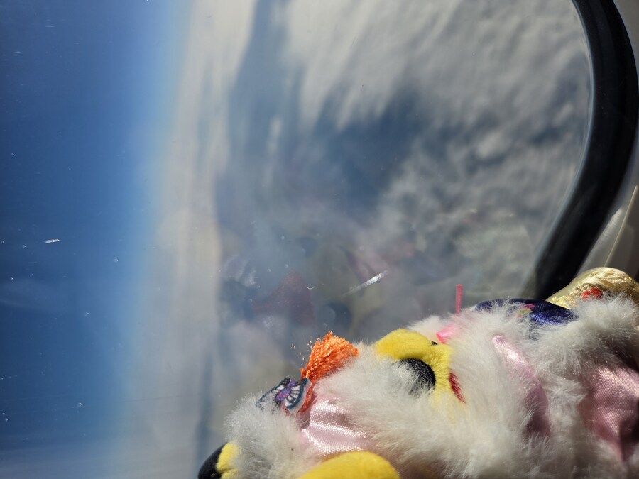 제주도 3박 4일 패키지 여행 다녀왔습니다._69.jpg