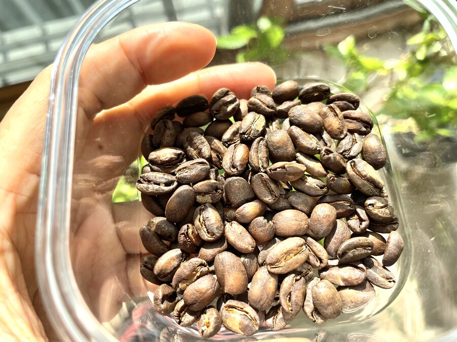 [ㄹㄹㅋㅍ] 루리커피 체험기_파나마 엘리다 부엘타_3.jpg