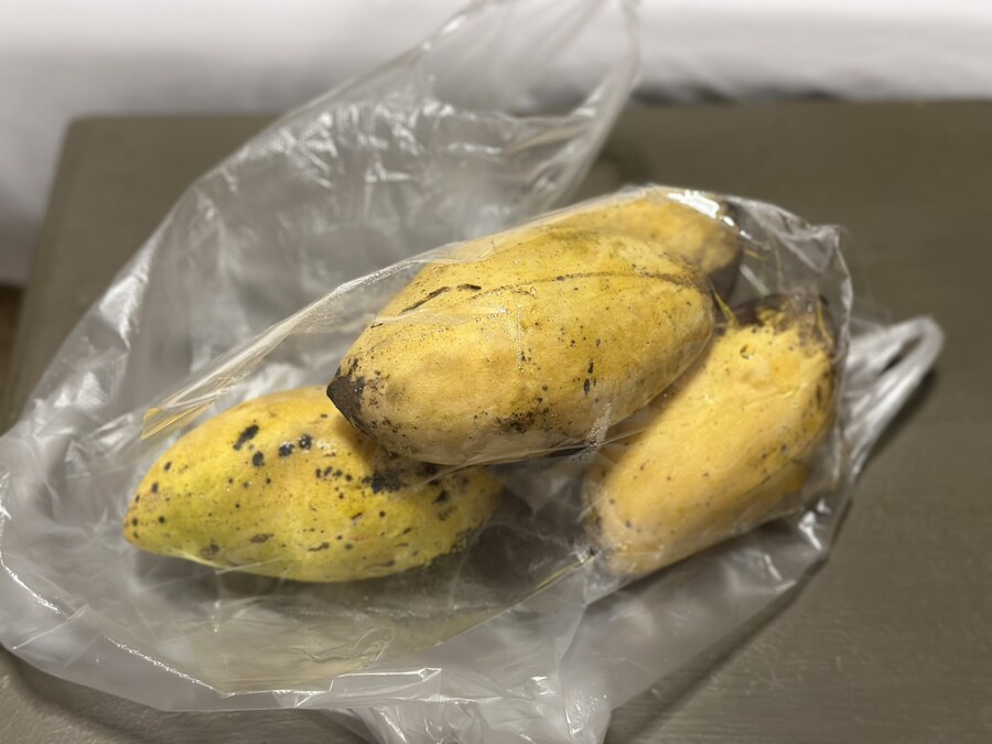 베트남, 태국 여행 먹방_43.jpg