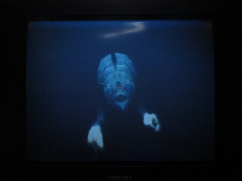 청의 6호 안타티카 (5)_20.jpg