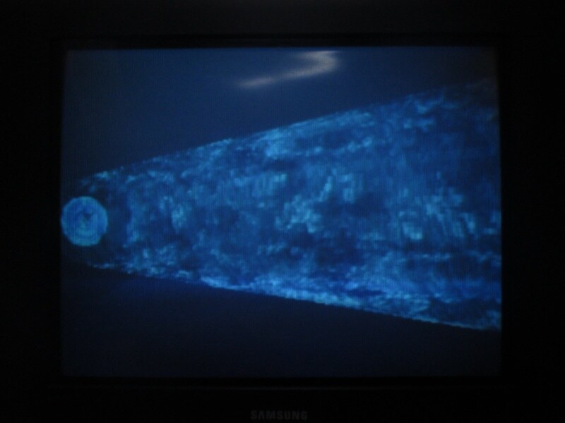 청의 6호 안타티카 (5)_27.jpg