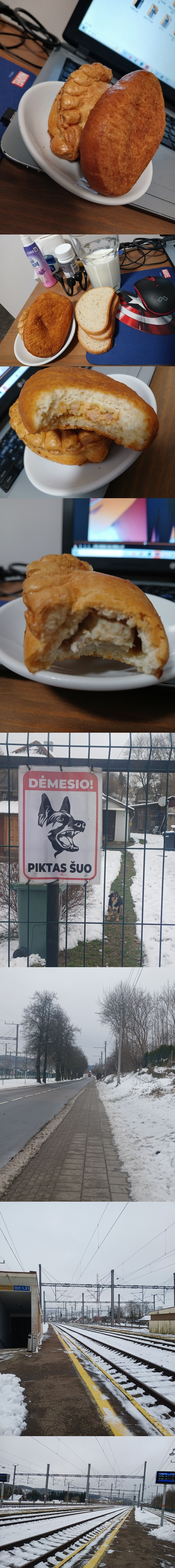 봇치의 리투아니아 여행 11화_1.jpg