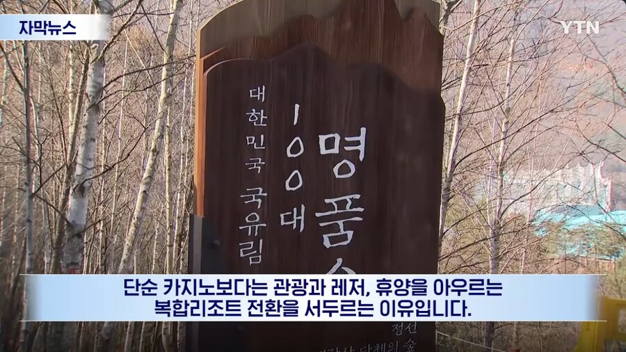 강원랜드 최신 근황_11.png