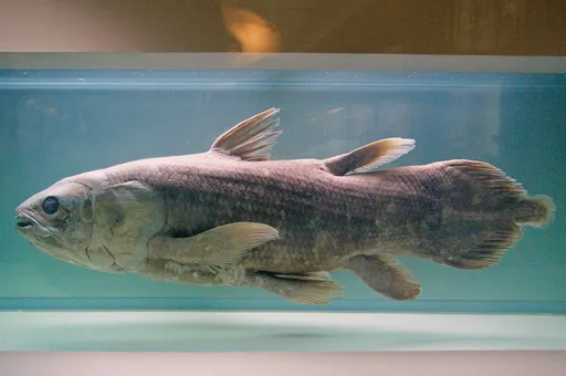 25.11.30 마르타성녀님 영의기원_4.webp