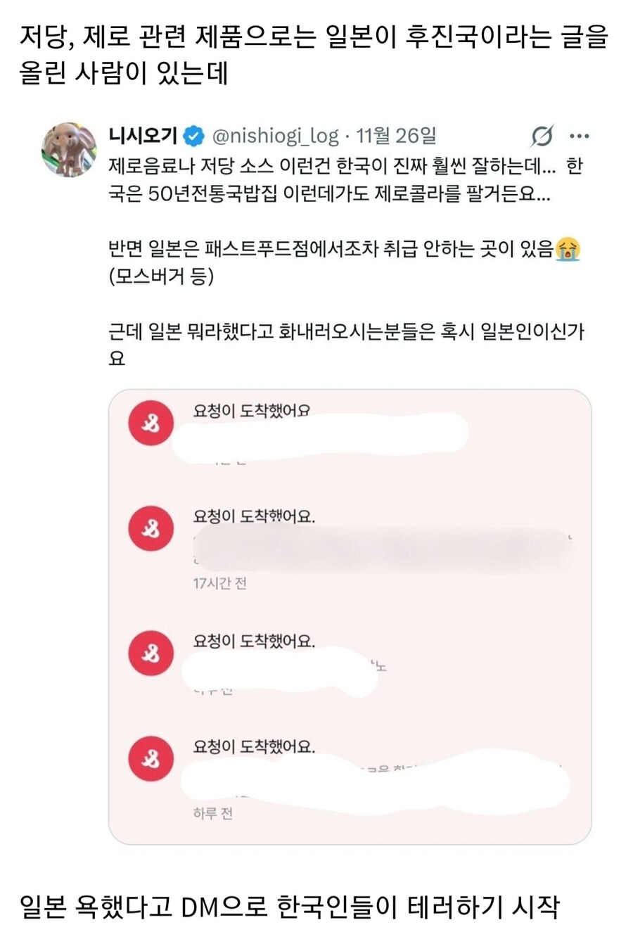 일본은 후진국이라고 말했다가 DM 테러 받은 사람_3.jpg