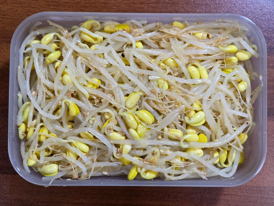 비비비빔 비비비빔 비빔밥_3.png