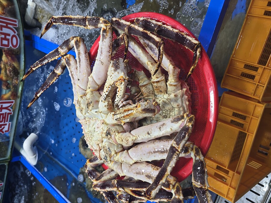 송년회 킹크랩_1.jpg