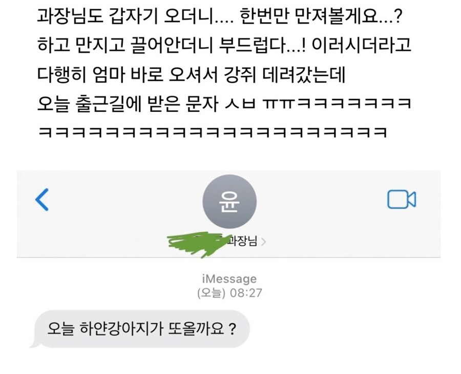 회사에 강아지를 데려온 결과_2.png