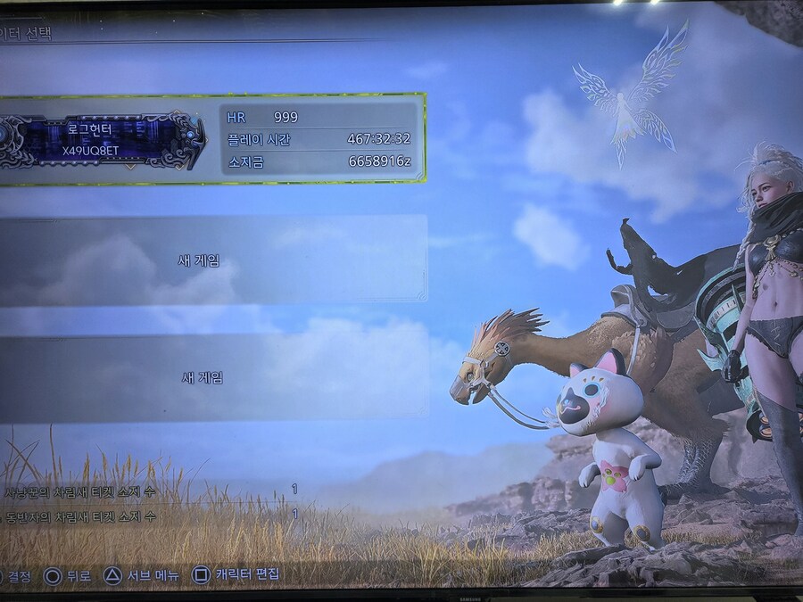 비둘기 랭크 999 달성_1.jpg