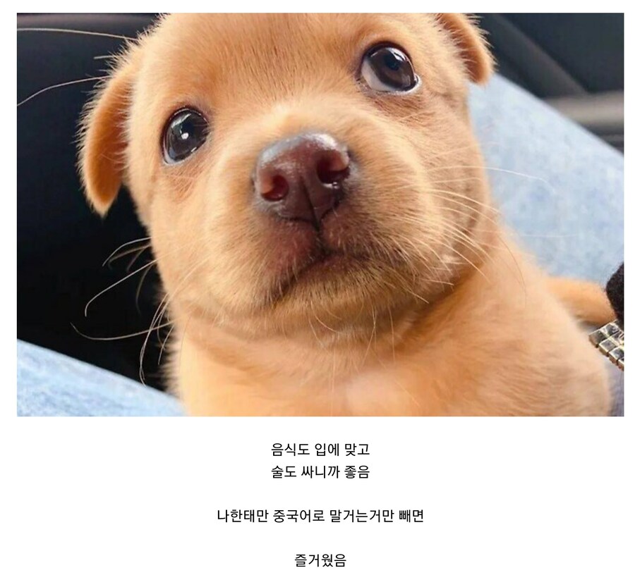 일본여행이 즐거웠던 어느 유게이_1.png