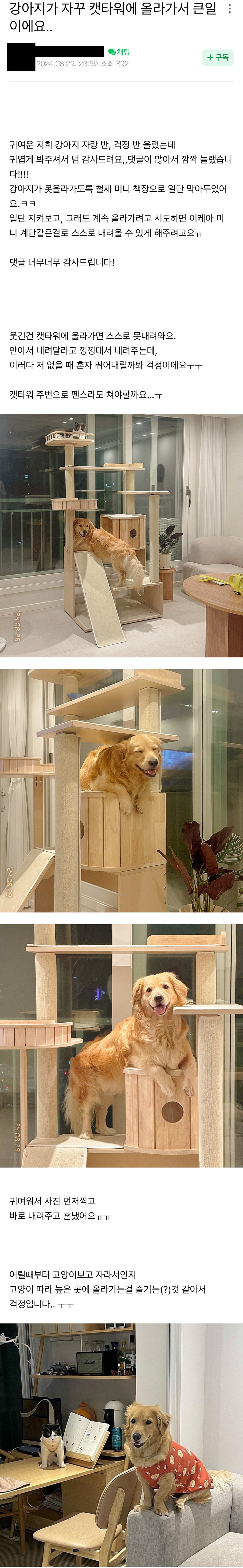 캣타워에 자꾸 올라가는 강아지.JPG_1.png