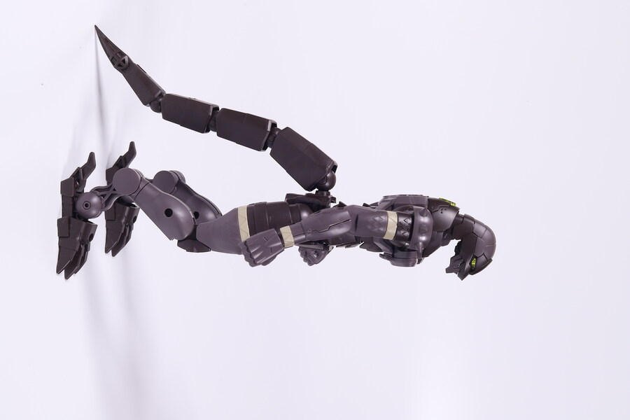 30MF]드래고니아 나이트_34.jpg