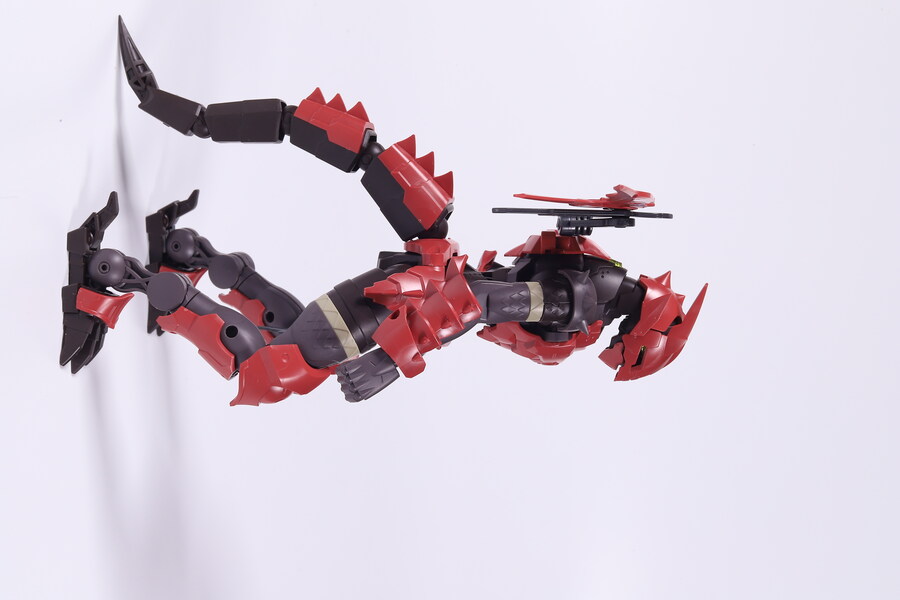 30MF]드래고니아 나이트_39.jpg