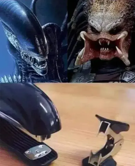 에일리언대 프레대터 근황.JPG_1.webp