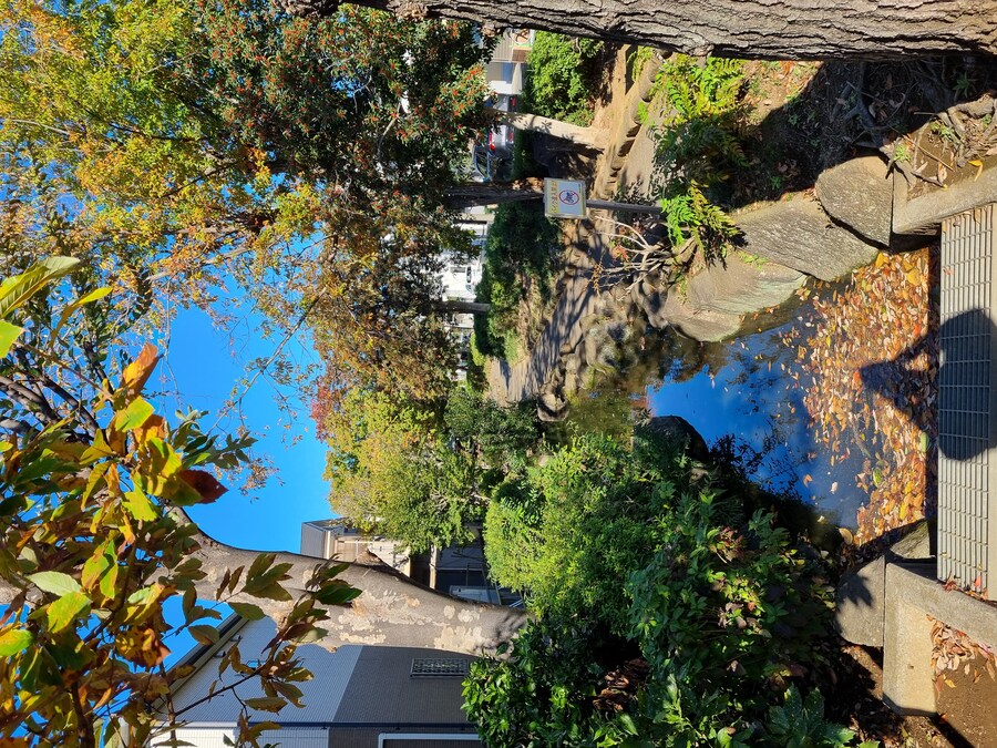 일본 워홀 27일차 시모키타자와 탐방 로지우라 카레 사무라이 & 모스크 커피_3.jpg