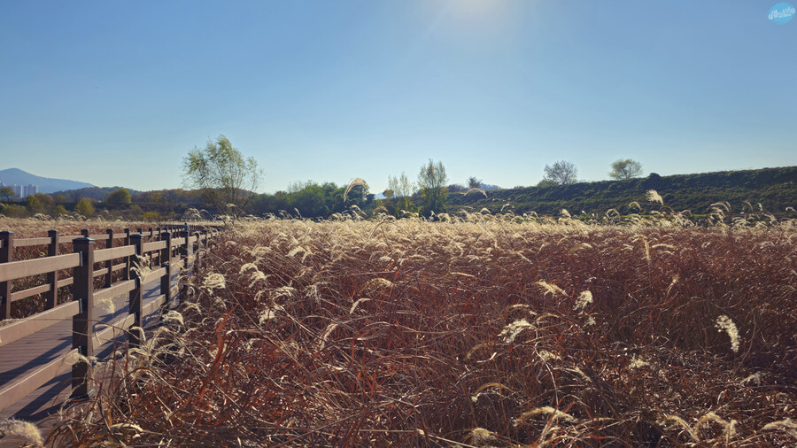 대구 성서 계대 12000원 짜리 뷔페_25.jpg