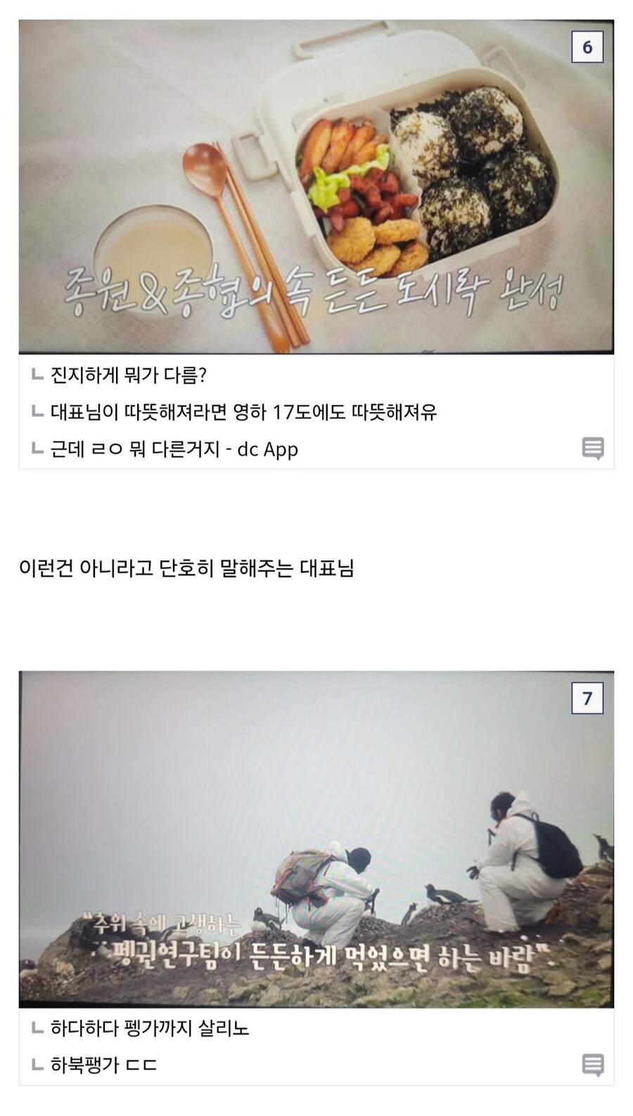 (남극)디씨인의 남극의 셰프 리뷰_4.jpg