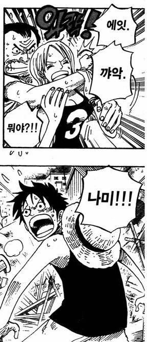 원피스 루피가 전투시 우선 보호하는 동료들_12.png