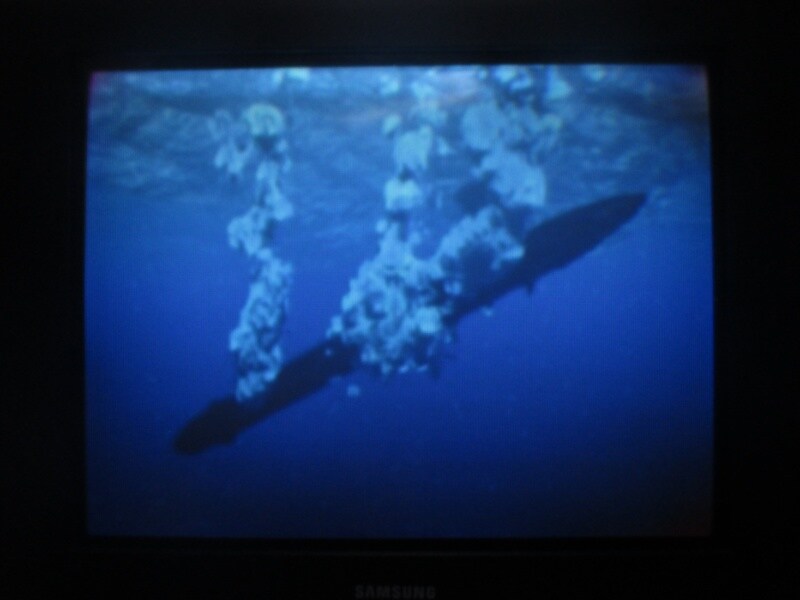 청의 6호 안타티카 엔딩_8.jpg